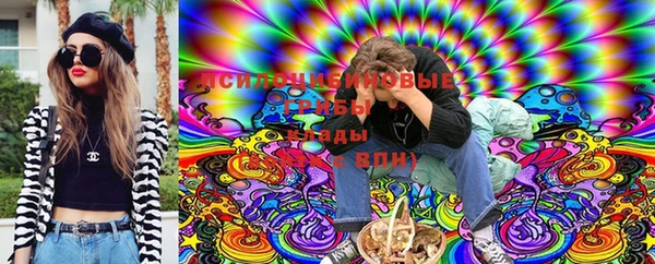 героин Алзамай