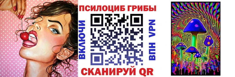 Псилоцибиновые грибы мухоморы  купить  сайты  Шилка 